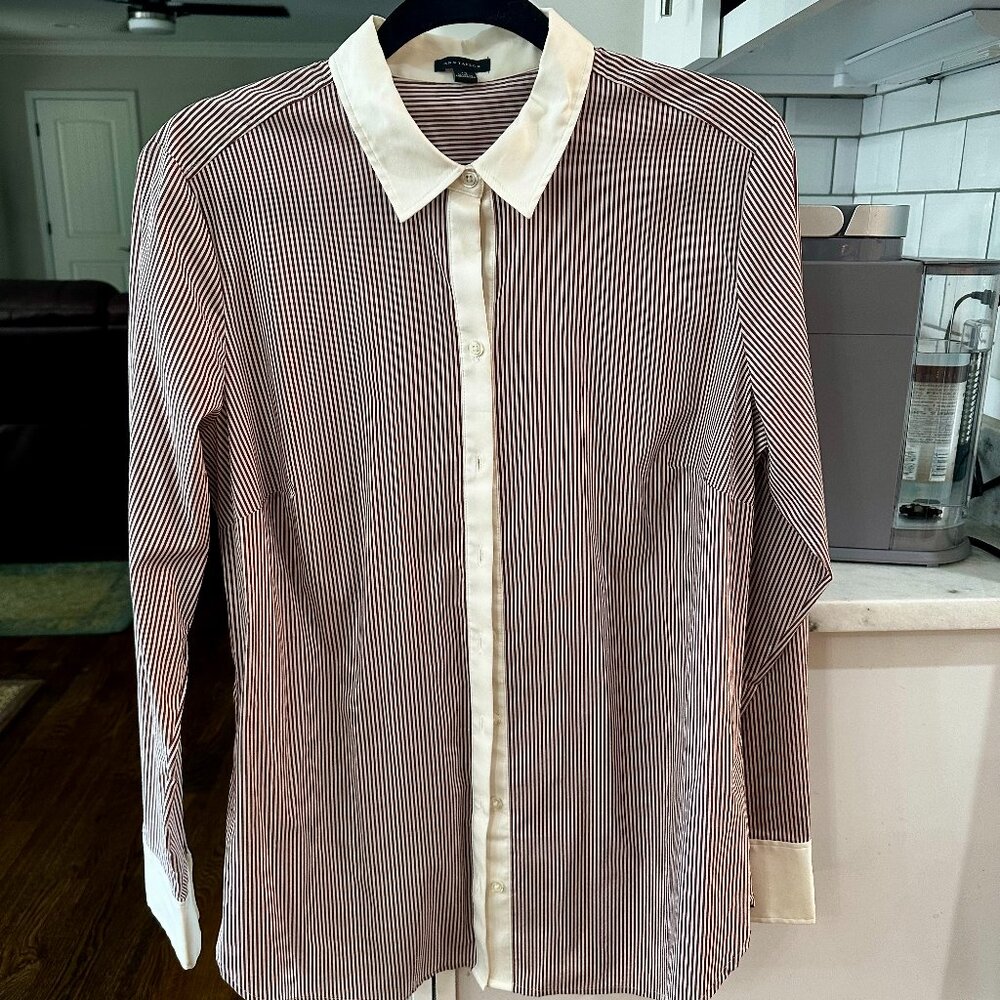 Ann Taylor Striped Dress Shirt